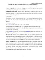 Bài tập Marketing quốc tế: Các chiến lược cạnh tranh dẫn đến sự thành công của thương hiệu Pepsi