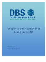 Master Thesis in Economics: Copper as key indicator of economic health