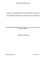 Master Thesis in Economics: An examination of fiscal contraction in an open economy with fiscal and monetary restrictions, the case of Ireland