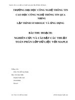 Bài thu hoạch: Nghiên cứu và cài đặt các thuật toán phân lớp dữ liệu với Maple