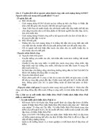 Đề cương ôn tập học kì 2 môn Lịch sử 9 năm 2018-2019 - Trường THCS&THPT Võ Nguyên Giáp