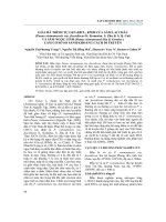 Giải mã trình tự gen rbcL, rpoB của sâm lai châu (Panax vietnamensis var. fuscidiscus K. Komatsu, S. Zhu & S.Q. Cai) và sâm ngọc linh (Panax vietnamensis Ha & Grushv.) làm cơ sở so sánh