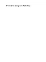 Disversitiy in european marketing 