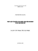 Pháp luật về quyền tự do ngôn luận trên internet ở việt nam hiện nay 