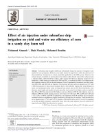 Effect of air injection under subsurface drip irrigation on yield and water use efficiency of corn in a sandy clay loam soil