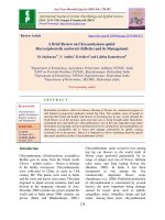 A brief review on chrysanthemum aphid: Macrosiphoniella sanborni (Gillette) and its management