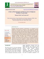 A study on phytochemicals and mineral content of indigenous red rice of Assam, India