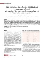 Đánh giá đa dạng di truyền bằng chỉ thị hình thái và tương quan kiểu hình của các dòng Náng hoa trắng (Crinum asiaticum L.)