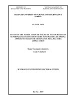Summary of chemistry doctoral thesis: Study on the fabrication of magnetic fluids based on superparamagnetic iron oxide nanoparticles (SPIONs) applied to magentic resonance imaging (MRI)