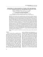Ảnh hưởng của nồng độ đường, vitamin, cường độ ánh sáng và thành phần khoáng lên sự tăng trưởng của sâm bố chính (Hibiscus sagittifolius Kurz) nuôi cấy in vitro