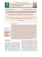 Analyzing different spacing and fertilizer applications interaction effect on growth, flowering and yield of Gladiolus (Gladiolus grandiflorus L.)