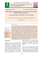 Effect of different transplanting dates on productivity and water expense efficiency in rice (Oryza sativa L.)