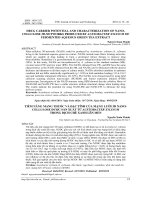 Drug carrier potential and characterization of nano-cellulose 3D-networks produced by Acetobacter xylinum of fermented aqueous green tea extract