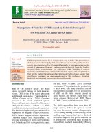 Management of fruit rot of chilli caused by Colletotrichum capsici