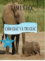 Bài thuyết trình Tâm lý học: Cảm giác và tri giác - Nhóm 3