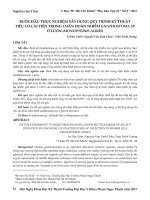 Bước đầu thực nghiệm xây dựng quy trình kỹ thuật tiêu cơ cải tiến trong chẩn đoán nhiễm Gnathostoma sp ở lươn (Monopterus albus)