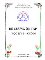 Đề cương ôn tập học kì 1 môn Sinh học 6 năm 2018-2019 - Trường THCS Chương Dương