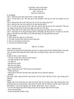 Đề cương ôn tập học kì 1 môn Tin học 9 năm 2018-2019 - Trường THCS Hòa Ninh