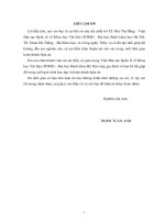 Nghiên cứu chế tạo vật liệu composit oxit sắtcác bon định hướng ứng dụng trong tích trữ năng lượng