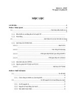 Bài tiểu luận: Thiết kế và thi công mạch điều khiển ô tô từ xa sử dụng sóng RF qua máy tính