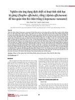 Nghiên cứu ứng dụng dịch chiết có hoạt tính sinh học từ gừng (Zingiber officinale), riềng (Alpinia officinarum) để bảo quản tôm thẻ chân trắng (Litopenaeus vannamei)