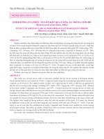 Ảnh hưởng của thức ăn lên kết quả ương ấu trùng tôm hề (Hymenocera picta Dana, 1852)