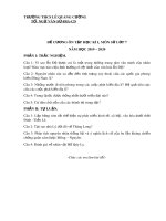 Đề cương ôn tập học kì 1 môn Lịch sử 7 năm 2019-2020 - Trường THCS Lê Quang Cường