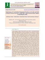 Performance of crop residue management practices on growth and yield of wheat (Triticum aestivum L.) under rice- wheat system in Bastar region of Chhattisgarh, India