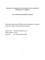 Master Thesis in Economics: Customers'' perception of service quality in the commercial banking sector of Nigeria
