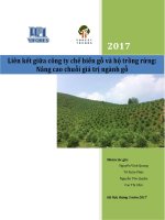 Báo cáo Liên kết giữa công ty chế biến gỗ và hộ trồng rừng: Nâng cao chuỗi giá trị ngành gỗ năm 2017