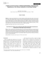 A study on the occurrence of Merismopedia Meyen (Cyanobacteria) populations on the littoral sediments of Izmit bay (Turkey)