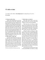 Về chất trí thức