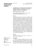 Establishment of reciprocal micrografting of tomato (Solanum lycopersicum L.) and eggplant (Solanum melongena L.)