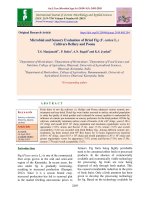 Microbial and sensory evaluation of dried fig (F. carica L.) cultivars bellary and Poona