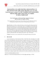 Ảnh hưởng của môi trường dinh dưỡng và mật độ ban đầu đến sinh trưởng của vi tảo Nanochloropsis oculata và thử nghiệm nuôi sinh khối trong điều kiện ánh sáng tự nhiên ở Thừa Thiên Huế