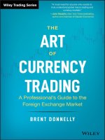 The art of currency trading a professionals guide to the foreign exchange market (wiley trading) 