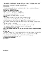 Đề cương ôn tập học kì 1 môn Lịch sử 7 năm 2019-2020 - Trường THCS Chánh Phú Hòa