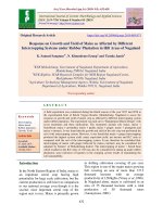 Response on growth and yield of maize as affected by different intercropping systems under rubber plantation in hill areas of Nagaland
