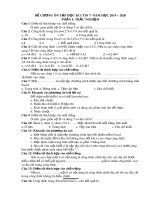 Đề cương ôn tập học kì 1 môn Tin học 7 năm 2019-2020 - Trường THCS Độc Lập