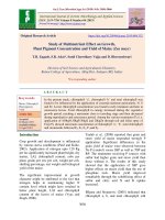 Study of multinutrient effect on growth, plant pigment concentration and yield of maize (Zea mays)