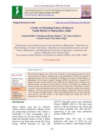 A study on marketing pattern of onion in Nashik district of Maharashtra, India