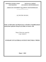 Summary of materials science doctoral thesis: Study on fabrication and effectiveness evaluation of multifunctional nanosystem (polymer-drug-Fe3O4-folate) on cancer cells