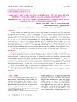 Nghiên cứu sản xuất chitosan khối lượng phân tử thấp từ xác tôm mịn trong quá trình sản xuất dịch đạm thủy phân