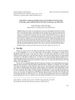 Thu hồi và tinh sạch phytase tái tổ hợp có nguồn gốc từ Bacillus subtilis trong dịch lên men Escherichia coli theo mẻ