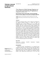 The influence of bulb storage regimes on the growth and flowering of Hippeastrum (Hippeastrum hybridum Hort.)