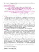Ảnh hưởng kết hợp của nhiệt độ và đồng đến tỷ lệ sống, tốc độ tăng trưởng, bắt mồi và hô hấp của ấu trùng cá chẽm mõm nhọn (Psammoperca waigiensis)