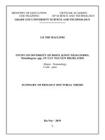 Summary of biology doctoral thesis: Study on diversity of root –knot nematodes (Meloidogyne spp.) in Tay Nguyen Highlands