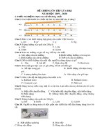 Đề cương ôn tập học kì 1 môn Vật lí 6 năm 2019-2020 - Trường THCS Phước Nguyên