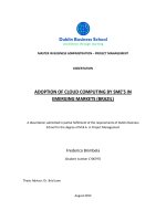 Master Thesis in Economics: Adoption of cloud computing by SME''s in emerging markets (Brazil)