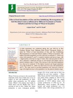 Effect of seed inoculation of zinc and iron solubilizing microorganisms on soil microbial count as influenced by different treatments at panicle initiation and harvest stage of wheat in